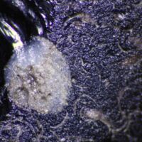 H1-121004_om (1).jpg H1-121004_om (1).jpg