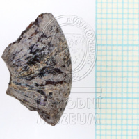 H1-80122 (3).JPG H1-80122 (3).JPG