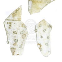 H2-198663 (2).JPG H2-198663 (2).JPG