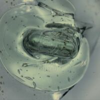 H2-198684 nálep (1,2x).jpg H2-198684 nálep (1,2x).jpg