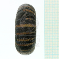 H1-80766 (3).JPG H1-80766 (3).JPG