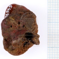 H1-64691_po (1).JPG H1-64691_po (1).JPG