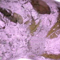 H1-80544_om (1).jpg H1-80544_om (1).jpg