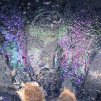 H1-80570_om (1).jpg H1-80570_om (1).jpg