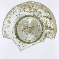 H2-105384 (4).JPG H2-105384 (4).JPG