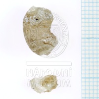 H1-65959-a_po (1).JPG H1-65959-a_po (1).JPG