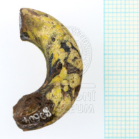 H1-80604 (2).JPG H1-80604 (2).JPG