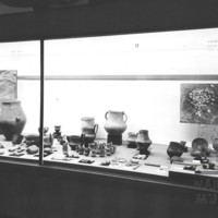 Negativ 11855 Negativ 11855