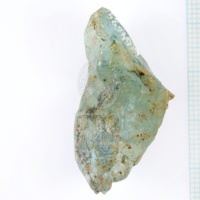 H1-64694_po (2).JPG H1-64694_po (2).JPG