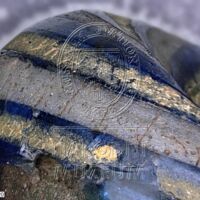 H1-80512_om (5).jpg H1-80512_om (5).jpg