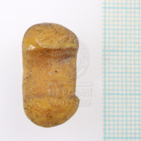 H1_45198 (3).JPG H1_45198 (3).JPG