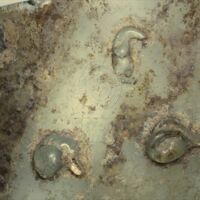 H2-198691 před čištěním(0,67x).jpg H2-198691 před čištěním(0,67x).jpg