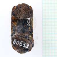 H1-80633 (4).JPG H1-80633 (4).JPG