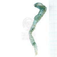 H1-64699_po (1).JPG H1-64699_po (1).JPG