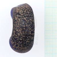 H1-80596 (3).JPG H1-80596 (3).JPG