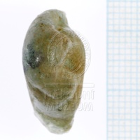 H1-64714_b_po  (5).JPG H1-64714_b_po  (5).JPG