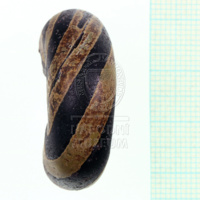 H1-80053 (3).JPG H1-80053 (3).JPG