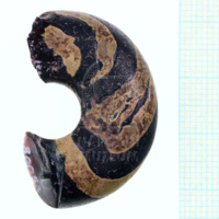 H1-80053 (2).JPG H1-80053 (2).JPG