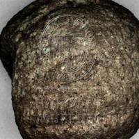 H1-64671_mikro.jpg H1-64671_mikro.jpg