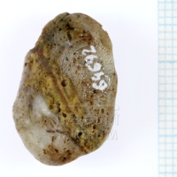 H1-64692_po (1).JPG H1-64692_po (1).JPG