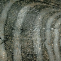 H1-64663_mikro (3).jpg H1-64663_mikro (3).jpg