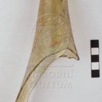 H2-105443, po restaurování.jpg