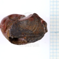 H1-64677_po (3).JPG H1-64677_po (3).JPG