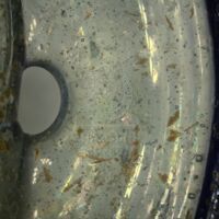 H2-105380 (0,67x).jpg H2-105380 (0,67x).jpg