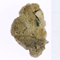 H1-64714_c_po  (1).JPG H1-64714_c_po  (1).JPG