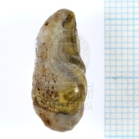 H1-64692_po (3).JPG H1-64692_po (3).JPG