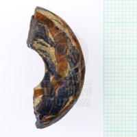 H1-80633 (2).JPG H1-80633 (2).JPG