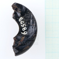 H1-80589 (2).JPG H1-80589 (2).JPG