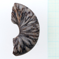 H1-80592 (2).JPG H1-80592 (2).JPG