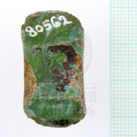 H1-80562 (4).JPG H1-80562 (4).JPG