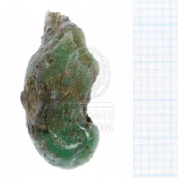 H1-64714_k_po (4).JPG H1-64714_k_po (4).JPG