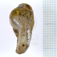 H1-64692_po (4).JPG H1-64692_po (4).JPG