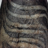 H1-64663_mikro (1).jpg H1-64663_mikro (1).jpg