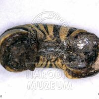 H1-80514_om (4).jpg H1-80514_om (4).jpg