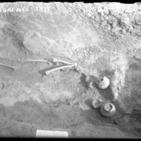 neg3069-A-2920.jpg neg3069-A-2920.jpg