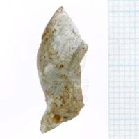 H1-64714_L (1).JPG H1-64714_L (1).JPG