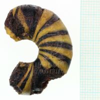 H1-80514 (2).JPG H1-80514 (2).JPG