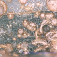 H1-26276_om (3).jpg H1-26276_om (3).jpg