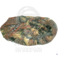 H1-65953_mikro.jpg H1-65953_mikro.jpg