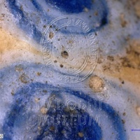 H1-26773_om (3).jpg H1-26773_om (3).jpg