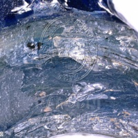 H1-80576_om (2).jpg H1-80576_om (2).jpg