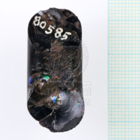 H1-80585 (4).JPG H1-80585 (4).JPG