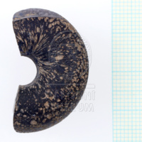 H1-80596 (2).JPG H1-80596 (2).JPG