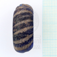 H1-80524 (2).JPG H1-80524 (2).JPG