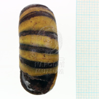 H1-80514 (3).JPG H1-80514 (3).JPG