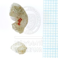 H1-65959-a_po (5).JPG H1-65959-a_po (5).JPG